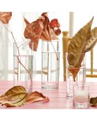 6 transparente Longdrinkgläser - 36 cl