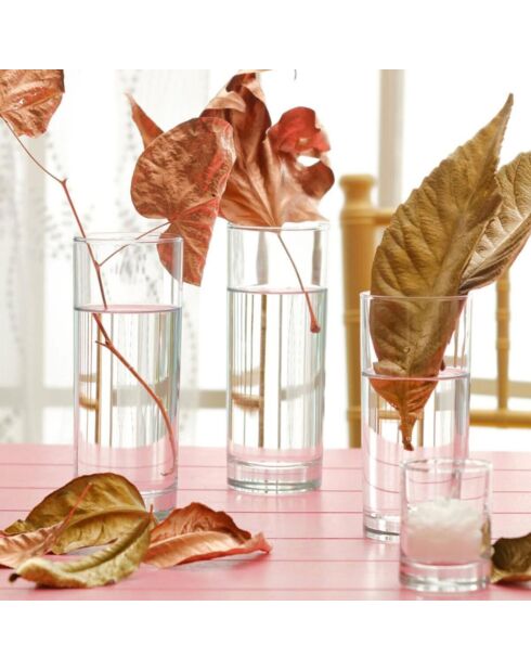6 transparente Longdrinkgläser - 36 cl
