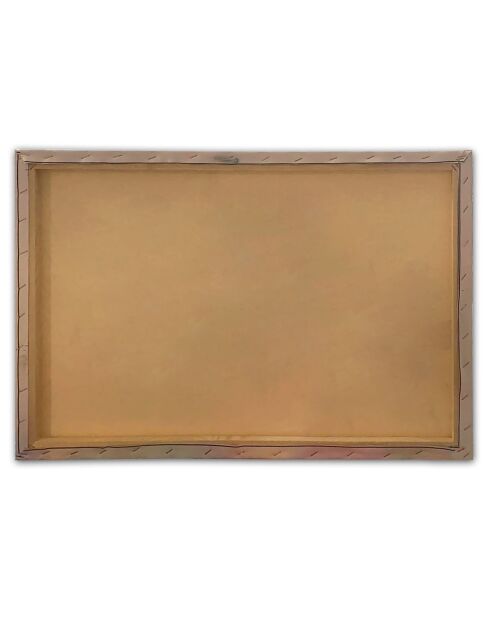 3 Decoratieve schilderijen op canvas