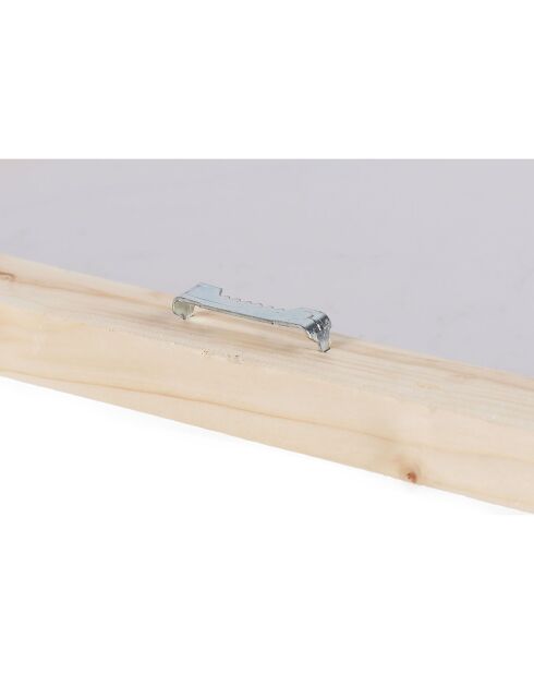 3 Decoratieve schilderijen op canvas