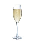 6 Flûtes à champagne Wine Emotions - 24 cl