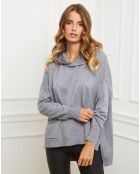 Pull Dorsal gris
