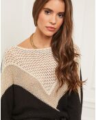 Pull en Laine mélangée Léna noir