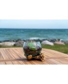 Décoration Goutte d'eau avec verre San Marino nature - D.15x15 cm