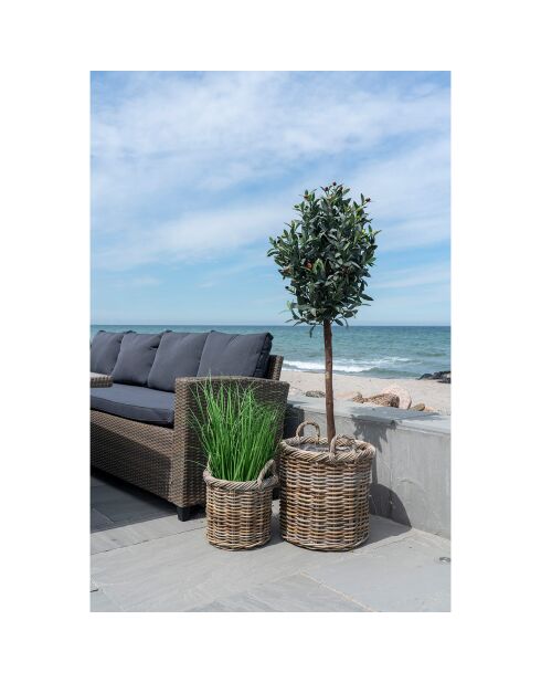 2 cestini rotondi con interno in plastica Gili nature