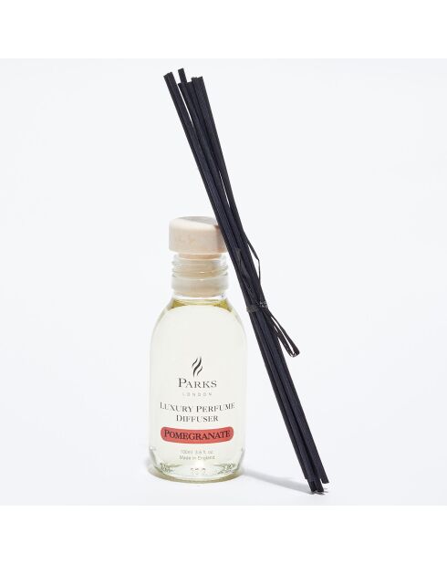 Diffuseur Home Line Grenade - 100 ml