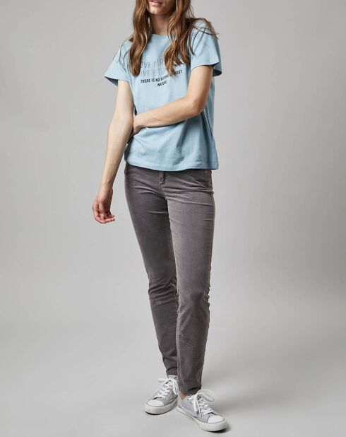 Pantalon slim Albi effet Velours gris clair