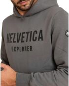 Sweat à Capuche Laun gris
