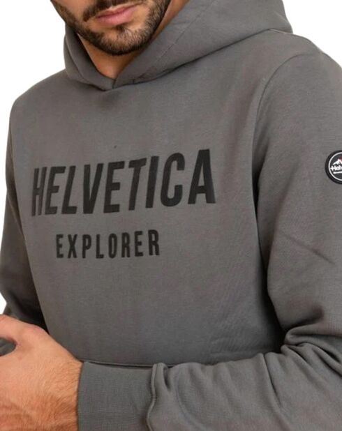 Sweat à Capuche Laun gris