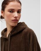 Robe Sonrisa marron