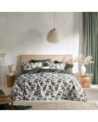 Parure housse de couette 100% Percale de Coton Whisper douglas fir