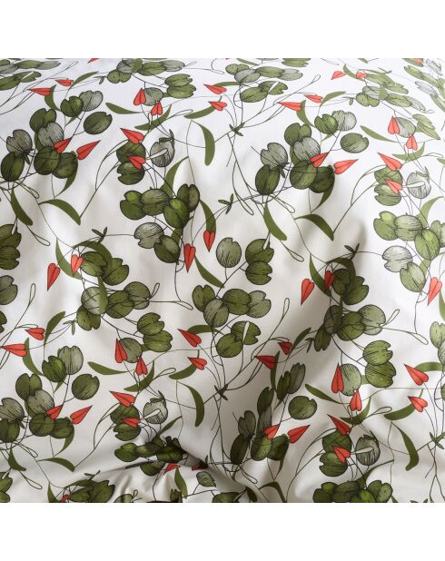 Parure housse de couette 100% Percale de Coton Whisper douglas fir