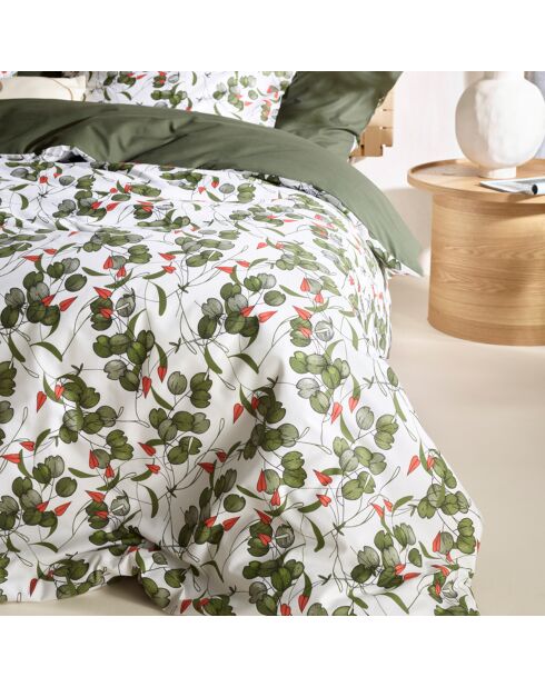 Parure housse de couette 100% Percale de Coton Whisper douglas fir