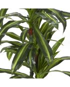 Plante artificielle dracaena - H.130 cm