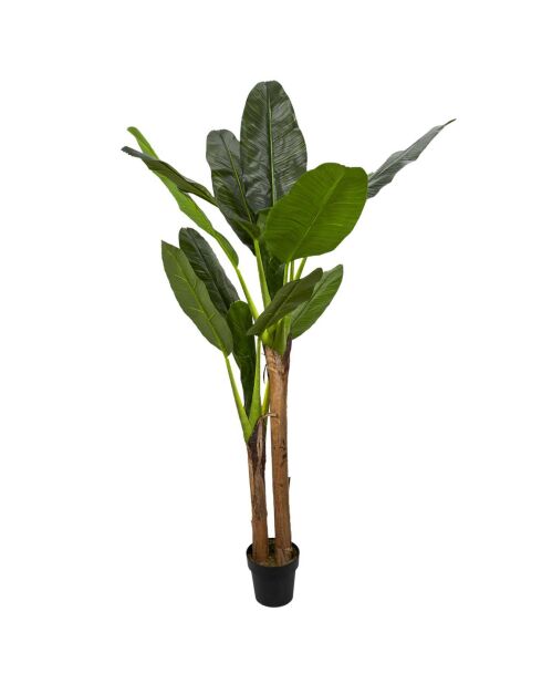 Bananier artificiel XXL - H.160 cm