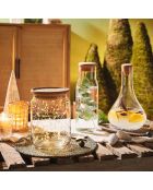 Funambule durchsichtige Karaffe mit Deckel, 1 l