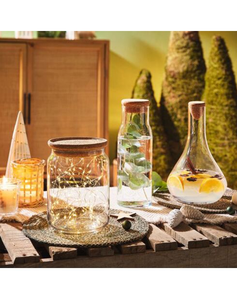 Funambule transparante karaf met dop - 1L