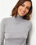 Pull en Cachemire mélangé Elisa gris