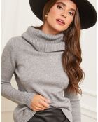 Pull Gabrielle Col roulé gris clair