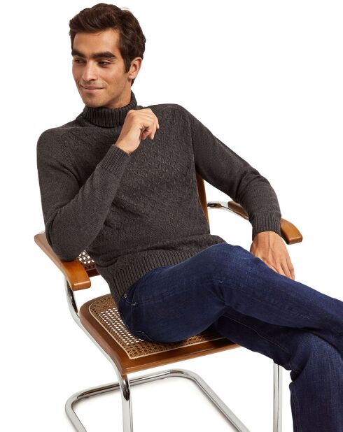 Pull col roulé Kobo anthracite