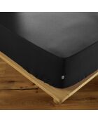 Drap housse Ambre noir
