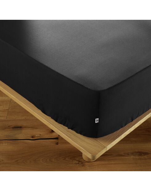 Drap housse Ambre noir