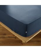 Drap housse Ambre bleu foncé