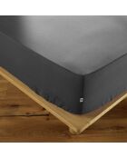 Drap housse Ambre anthracite