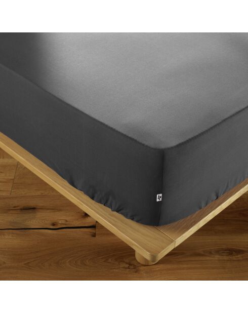 Drap housse Ambre anthracite