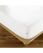 Drap housse Ambre blanc
