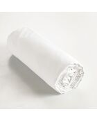 Drap housse Ambre blanc