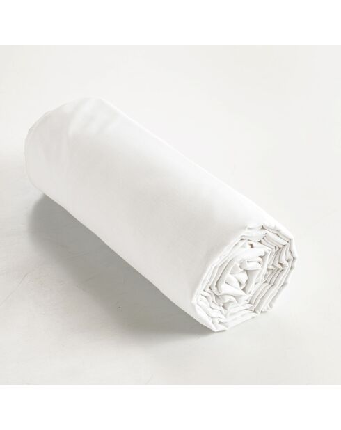 Drap housse Ambre blanc