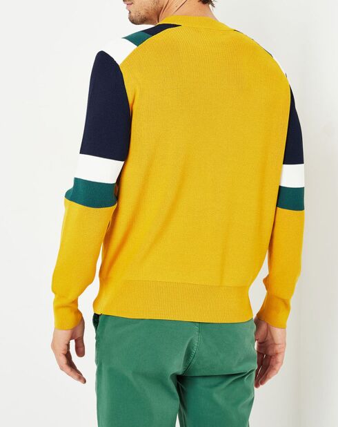Ideo mosterd/marineblauw/groene trui