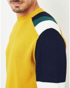 Pull Ideo moutarde/bleu marine/vert