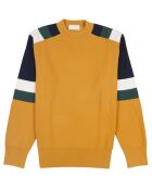Pull Ideo moutarde/bleu marine/vert