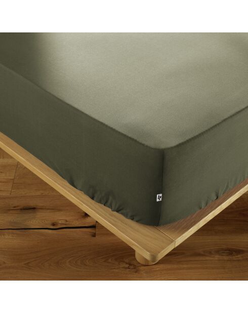 Drap housse Ambre kaki
