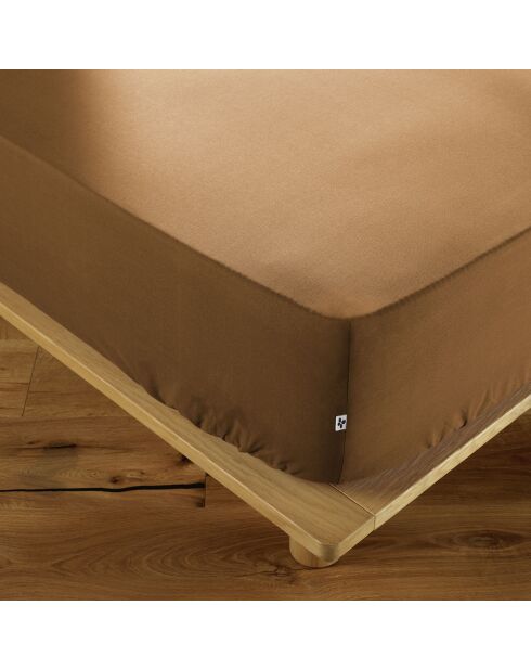 Drap housse Ambre marron