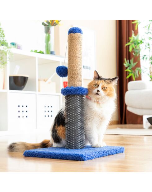 Tapis de grattage et de massage 2 en 1 pour chats bleu/gris - 30x30x55 cm