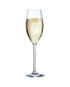 6 Flûtes à champagne Cheer Up transparentes - 24 cl