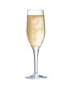 6 Flûtes à champagne Sensation Exalt transparentes - 19 cl