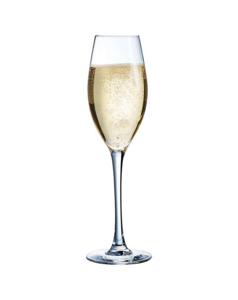Transparente Champagnerflöten in 6 Sequenzen - 24 cl