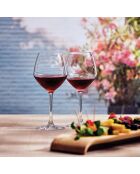 6 Verres à pied Cabernet Vins Jeunes transparents - 47 cl