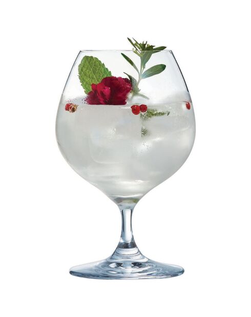 6 Verres à pied Spirits transparents - 40 cl