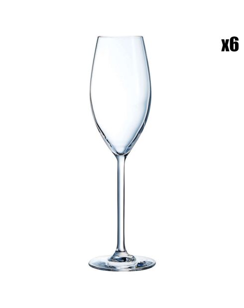 6 Flûtes à champagne Cheer Up transparentes - 24 cl