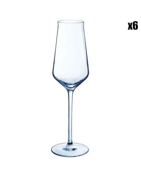 6 transparante champagnefluiten van Reveal Up - 21 cl