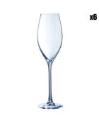 Transparente Champagnerflöten in 6 Sequenzen - 24 cl