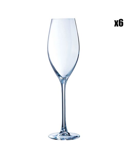 6 Flûtes à champagne Séquence transparentes - 24 cl
