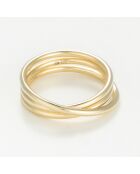 Jupiter geelgouden ring