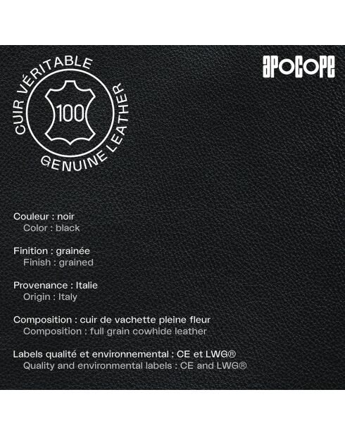 Coque iPhone 12 Pro Max Sam noire