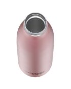 Gourde bouchon à visser taupe - 50 cl
